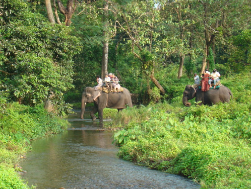 National Tour Gallery